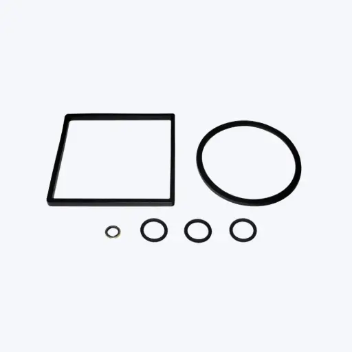 GASKET KIT HNBR SWK-5 & -5/50